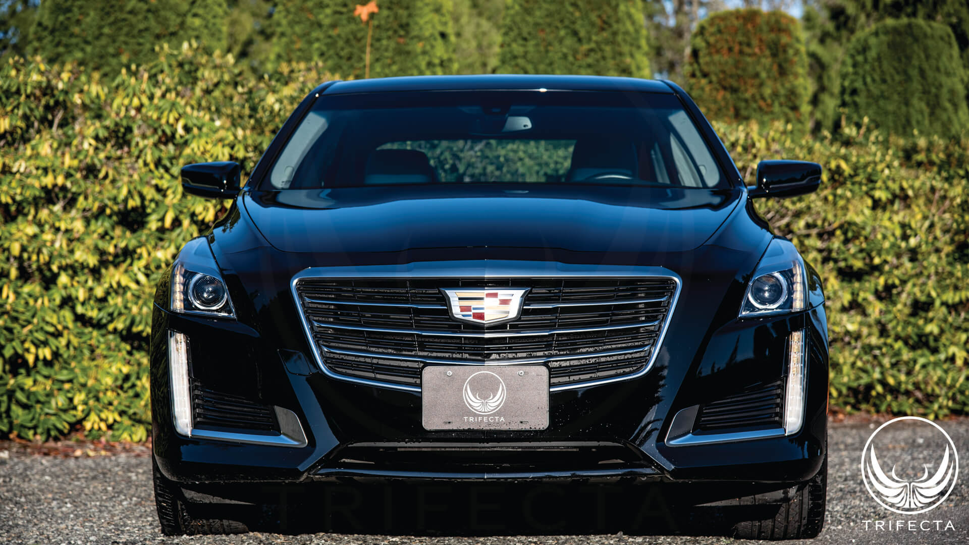 Product Review: 2016--2019 Cadillac CTS - 3.6L - Advantage